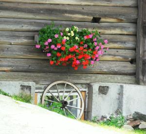 Ogród w obiekcie Sattlehnerhof