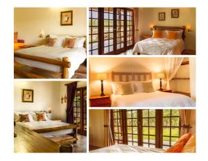 Gallery image of Thornhill Guest House in the middle of a nature reserve in Hoedspruit