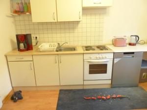 蘭德爾薩克爾的住宿－Ehemalige Rosengärtnerei，厨房配有水槽和炉灶 顶部烤箱