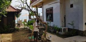 Gallery image of Segara Beach Inn in Nusa Lembongan