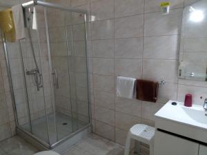W łazience znajduje się prysznic ze szklanymi drzwiami. w obiekcie Pensao Residencial Vila Teresinha w Funchal