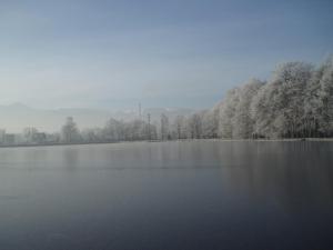 Przyroda w pobliżu tej kwatery prywatnej