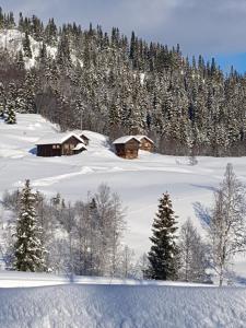 een met sneeuw bedekt veld met huizen en bomen bij Kvambekk Gard i Åmotsdal in Kyrkjemoen