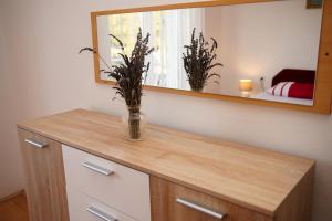 Фотография из галереи Apartment Ajdukovic в Водице