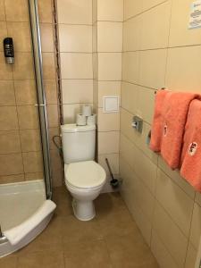 Kúpeľňa v ubytovaní Apartmán Eden