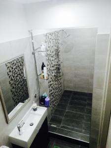 uma casa de banho com um chuveiro, um lavatório e um espelho. em Hermes Apartment - Athens Int Airport em Artemida