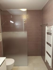 a bathroom with a shower and a toilet at Appartement Daria Cossonay in Cossonay