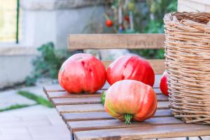 CaposeleにあるCasa Elisabetta ShortLetsのギャラリーの写真