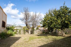 A garden outside Casa Theoni