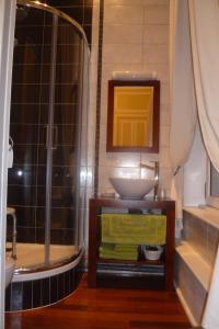 a bathroom with a sink and a shower at Château des marronniers in Baizieux