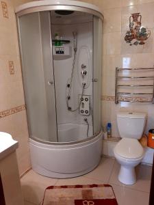 a bathroom with a shower and a toilet at Куренiвський Двiр in Kyiv