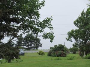 Rocky Shores & Seals Cottages