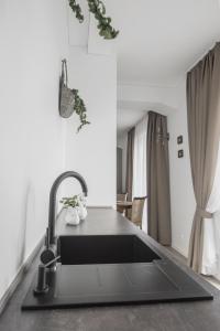 een keuken met een wastafel en een aanrecht bij KM apartamentai in Kaunas