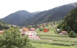 Gallery image of Uzungöl Zahra Apart Hotel in Uzungöl