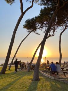 people sitting on benches watching the sunset at the beach at Conil Apartment in Conil de la Frontera