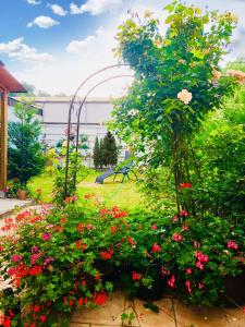 a garden with a bunch of flowers in a yard at A&S FerienwohnungenBonner str 49 in Bonn