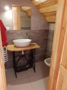 Kylpyhuone majoituspaikassa Domek u Jawora -Agroturystyka