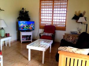 een woonkamer met een bank en een tv bij Tranquility by the Sea in Vieques