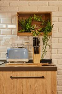 a toaster sitting on top of a counter with plants at “Forte 99” in Venice in Mestre