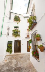 a white building with potted plants on the facade at Casa Del Rey in Priego de Córdoba