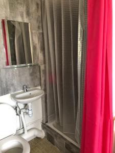 a bathroom with a pink shower curtain and a sink at La Colline Bed and Table in Le Lamentin