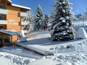 Hotel & Appartamenti Al Larice talvel