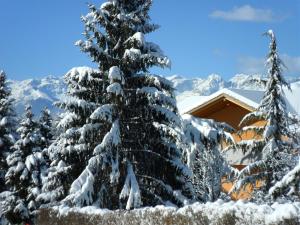 Hotel & Appartamenti Al Larice talvel