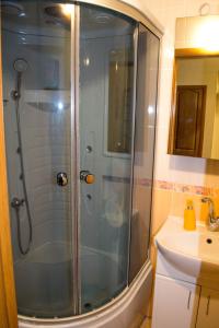 a bathroom with a shower and a sink at Greenhouse in Kropyvnytskyi
