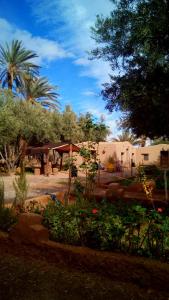 a garden with plants and trees and a building at Eco-Ferme Tamalait Skoura in Skoura