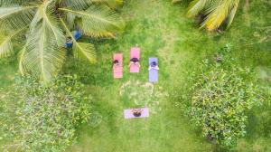 two people standing in the grass with their backs to the camera at Soul Wellness and Ayurveda Resort in Dickwella