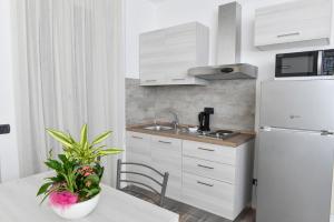 A kitchen or kitchenette at Albergo Silvio