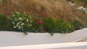 A garden outside GYROULI 1