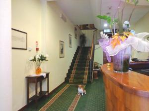 un perro pequeño sentado en el suelo en una habitación con escaleras en Hotel Select, en Montecchio Emilia