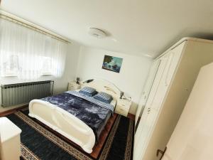 - une chambre avec un lit dans une pièce dotée d'une fenêtre dans l'établissement Apartman Goran - 130m Radiochirurgia, à Sveta Nedjelja
