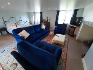a living room with a blue couch and a bed at Woodlands Cottage Farm in Wickham