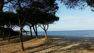 grupa drzew na plaży w pobliżu wody w obiekcie Casa Zeralda, privater Pool w mieście Budoni