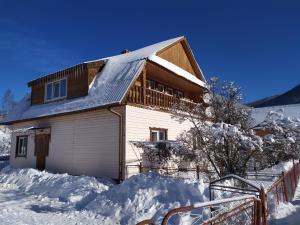 Homestay Opryshky during the winter