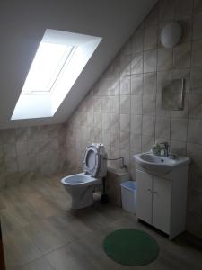 PrzykonaZagroda Olszówka的浴室配有卫生间、水槽和天窗。