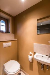 a bathroom with a toilet and a sink at Vakantiehuisje Walhofpark 10 in De Panne +8 photos