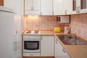 Kuchyňa alebo kuchynka v ubytovaní Apartment Matilda + 15 fotografií