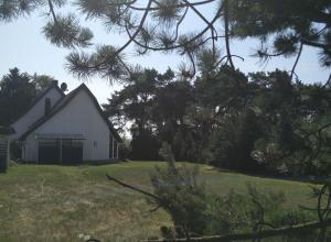 Zahrada ubytování Ferienwohnung am Küstenwald