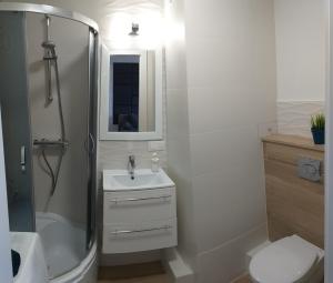 bagno con doccia, lavandino e servizi igienici di Apartament Toruń Dreams a Toruń