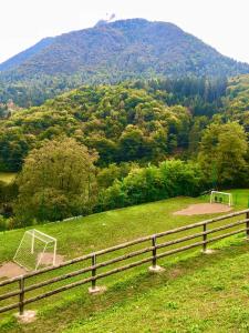 Príroda v okolí apartmánu