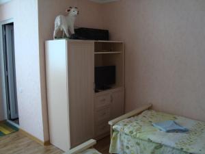 Μια τηλεόραση ή/και κέντρο ψυχαγωγίας στο Chicho Guesthouse
