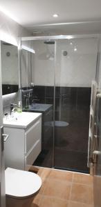 a bathroom with a shower and a sink and a toilet at STUDIO INDEPENDANT LA TURBIE in La Turbie