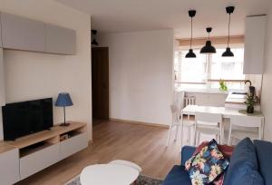 ein Wohnzimmer mit einem blauen Sofa und einem Tisch in der Unterkunft New CITY CENTER apartments in Druskininkai