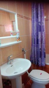 a bathroom with a sink and a toilet and a purple shower curtain at Apartman Marina in Bük