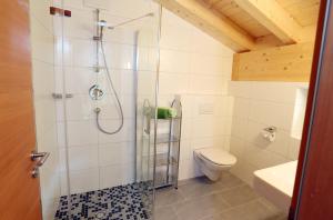 uma casa de banho com um chuveiro e um WC. em Apart Ladner em Sankt Anton am Arlberg