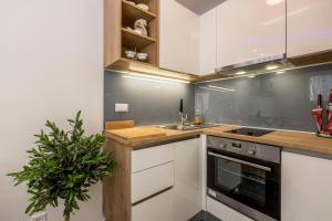 Kuchyň nebo kuchyňský kout v ubytování Noemi Luxury Apartment