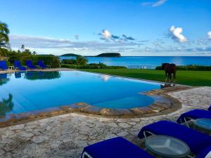 a horse is standing next to a swimming pool at Blue Horizon Boutique Resort in Vieques